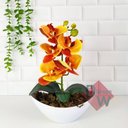 Ver imagem 2 de Vaso Bacia Branco de Plástico Cuia Plantas Suculentas