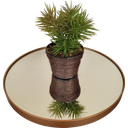 Ver imagem 4 de Conjunto Mesa Lateral Dourada em Ferro com Tampo em Vidro