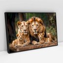 Ver imagem 2 de Quadro Decorativo Retrato Família Leão Leoa com Dois Filhotes Sala Quarto Casa Escritório