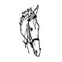 Ver imagem 2 de Painel para Parede Cara de Cavalo Artesanal Ferro