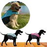 Colete Salva Vidas Cães Ativa Pet Aventura Tamanho Gg- Azul - 3