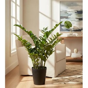 Planta Artificial Zamioculca Decoração Sala com 1.00 Metros