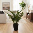 Ver mais imagens de Planta Artificial Zamioculca Decoração Sala com 1.00 Metros