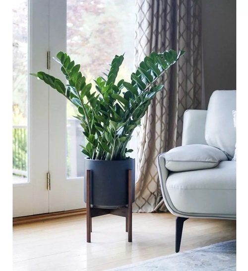 Planta Artificial Zamioculca Decoração Sala com 1.00 Metros