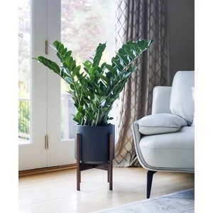Planta Artificial Zamioculca Decoração Sala com 1.00 Metros