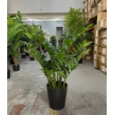 Ver imagem 2 de Planta Artificial Zamioculca Decoração Sala com 1.00 Metros