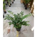 Ver imagem 3 de Planta Artificial Zamioculca Decoração Sala com 1.00 Metros
