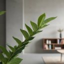 Ver imagem 7 de Planta Artificial Zamioculca Decoração Sala com 1.00 Metros