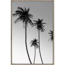 Ver imagem 1 de Quadro Decorativo de Canvas Palm Beach a 60 X 90 X 3,5 Cm - Visage