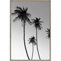 Quadro Decorativo de Canvas Palm Beach a 60 X 90 X 3,5 Cm - Visage - 1