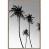 Quadro Decorativo de Canvas Palm Beach a 60 X 90 X 3,5 Cm - Visage - 1