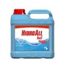 Algicida de Choque Hcl 5 Litros Hidroall - 1