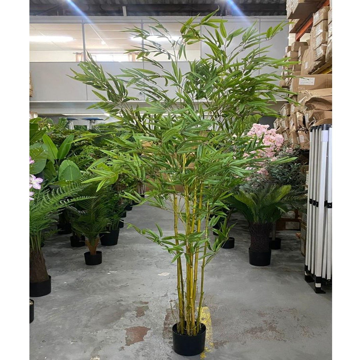 Bambu Artificial Grande Realista Planta com 1.80 Metros - 5