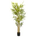 Ver imagem 7 de Bambu Artificial Grande Realista Planta com 1.80 Metros