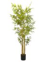 Ver imagem 7 de Bambu Artificial Grande Realista Planta com 1.80 Metros