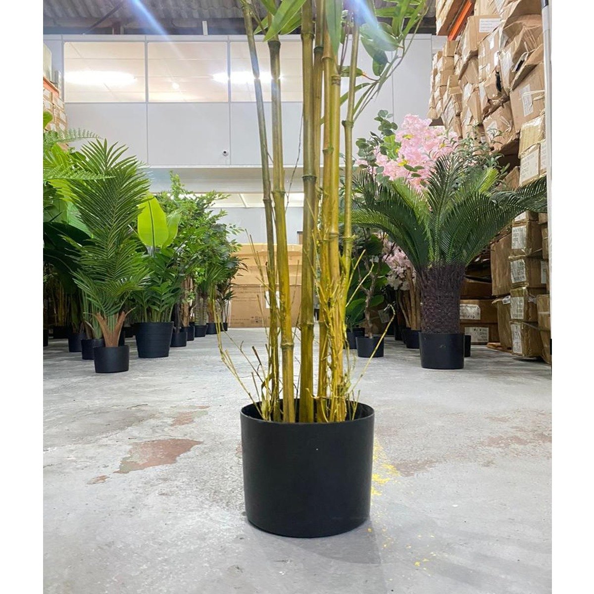 Bambu Artificial Grande Realista Planta com 1.80 Metros - 4