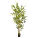 Ver imagem 2 de Bambu Artificial Grande Realista Planta com 1.80 Metros
