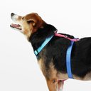 Ver imagem 3 de Peitoral H Azul e Rosa Tam. M Mimo - PP282 PP282