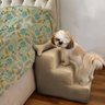 Escada Pet para Cães e Gatos Teddy 3 Degraus Capuccino - 4