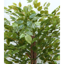 Ver imagem 2 de Arvore Planta Artificial Grande Fícus Premium Verde 1,86mt