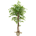 Ver imagem 1 de Arvore Planta Artificial Grande Fícus Premium Verde 1,86mt