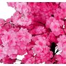 Planta Artificial Árvore Cerejeira Sakura 1,80 Metros de Altura - 2