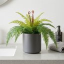 Ver mais imagens de 5 Plantas Samambaias Artificial 40cm Planta Permanente Realista para Casa e Escritório