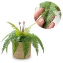 Ver imagem 7 de 5 Plantas Samambaias Artificial 40cm Planta Permanente Realista para Casa e Escritório