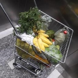 Eco Carrinho - 3