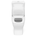 Ver imagem 2 de Kit In Bacia C/ Caixa Acoplada+inst+assento Pp Boss Branco - 1897230010100