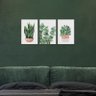 Kit 3 Quadros Plantas Folhagens Natureza Minimalista sem Moldura - 2