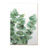 Kit 3 Quadros Plantas Folhagens Natureza Minimalista sem Moldura - 3