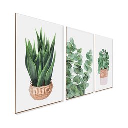 Kit 3 Quadros Plantas Folhagens Natureza Minimalista sem Moldura - 1