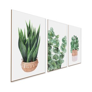 Kit 3 Quadros Plantas Folhagens Natureza Minimalista sem Moldura
