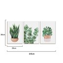 Ver imagem 4 de Kit 3 Quadros Plantas Folhagens Natureza Minimalista sem Moldura