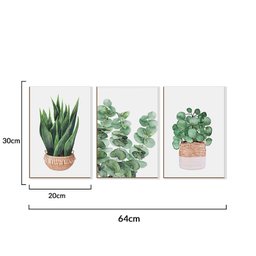 Kit 3 Quadros Plantas Folhagens Natureza Minimalista sem Moldura - 4