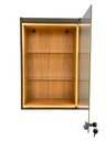 Ver imagem 1 de Vitrine Suspensa Amadeirada Porta Vidro 64x44cm c/ LED Colecionador