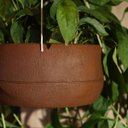 Ver imagem 2 de Vaso Oma Suspenso com Corda 24 (2l) Cor Aço Corten Japi