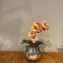 Ver imagem 3 de Orquídea Tigre Rosa Artificial Arranjo no Vaso Espelhado Flores Permanentes