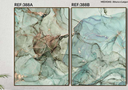 Ver imagem 1 de Connjunto de Quadro Decorativo Abstrato Verde