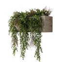 Ver imagem 1 de Kit 3 Pendentes de Eucalipto Artificial Realista 87 cm Folhagem Permanente para Ambientes