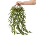 Ver imagem 3 de Kit 3 Pendentes de Eucalipto Artificial Realista 87 cm Folhagem Permanente para Ambientes