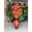 Ver imagem 6 de Vaso Grande para Planta para Decoração Sala Varanda Jardim Alto Brilho e Leve 54cm (liso/vermelho)