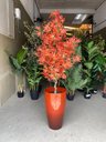 Ver imagem 6 de Vaso Grande para Planta para Decoração Sala Varanda Jardim Alto Brilho e Leve 54cm (liso/vermelho)