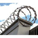 Ver imagem 2 de Concertina Galvanizada Simples 45cm 5m com Kit Instalação Minasul