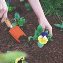 Ver mais imagens de Kit Conjunto Jardinagem 3 Peças Cabo Madeira + Borrifador 1 Litro | Tramontina
