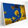 Quadro Árvore Ipê Amarelo no Céu Azul Decor&quadros Nat155 60x90 Cm Adesivo Fotográfico - 2