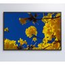 Quadro Árvore Ipê Amarelo no Céu Azul Decor&quadros Nat155 60x90 Cm Adesivo Fotográfico - 7