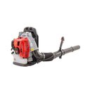 Ver imagem 2 de Soprador de Folhas Costal a Gasolina 52 Cilindradas 7000rpm