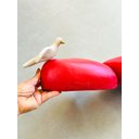 Ver imagem 6 de Escultura Semeando Amor de Forma Recíproca - Mestre Ivo Diodato